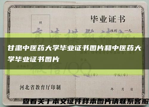 甘肃中医药大学毕业证书图片和中医药大学毕业证书图片缩略图