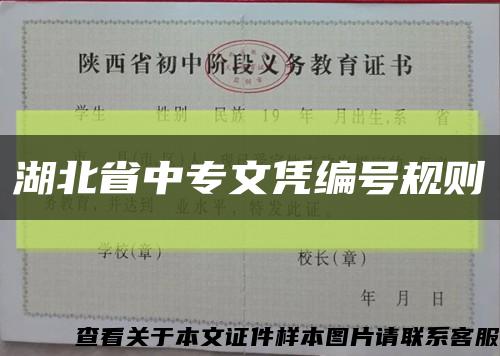 湖北省中专文凭编号规则缩略图