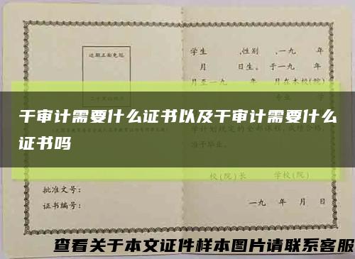 干审计需要什么证书以及干审计需要什么证书吗缩略图
