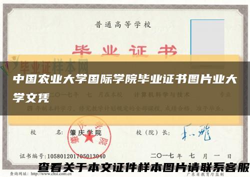中国农业大学国际学院毕业证书图片业大学文凭缩略图