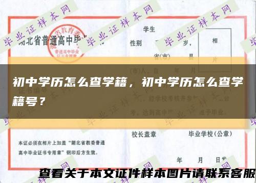 初中学历怎么查学籍，初中学历怎么查学籍号？缩略图
