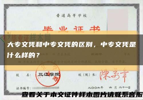 大专文凭和中专文凭的区别，中专文凭是什么样的？缩略图