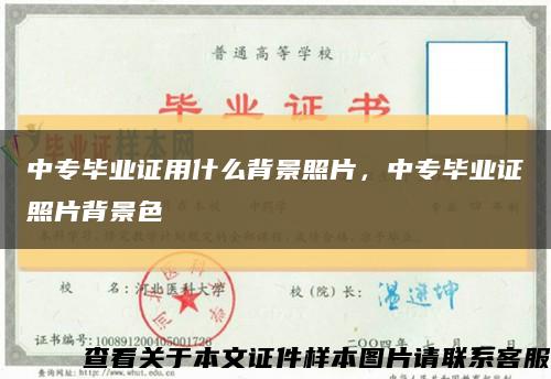中专毕业证用什么背景照片，中专毕业证照片背景色缩略图