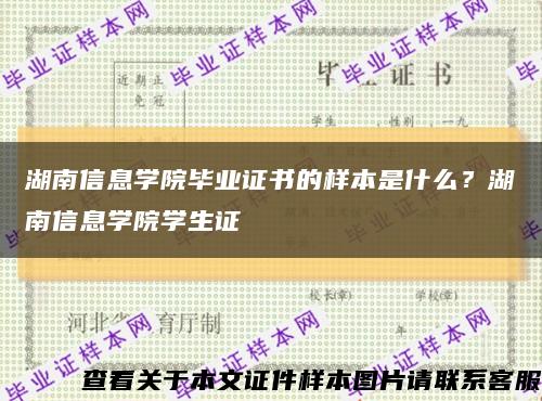 湖南信息学院毕业证书的样本是什么？湖南信息学院学生证缩略图