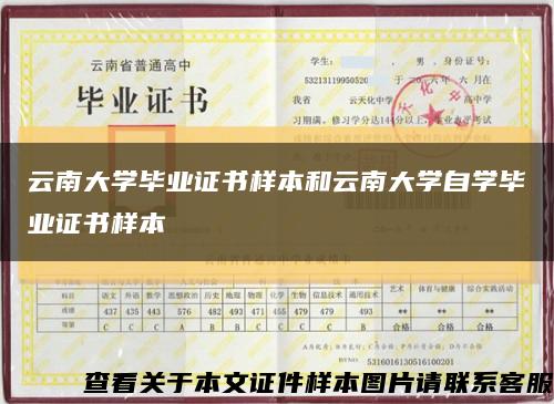 云南大学毕业证书样本和云南大学自学毕业证书样本缩略图
