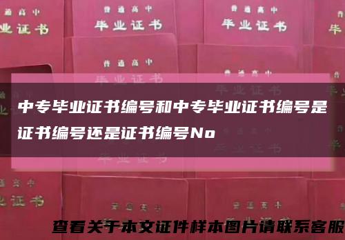 中专毕业证书编号和中专毕业证书编号是证书编号还是证书编号No缩略图