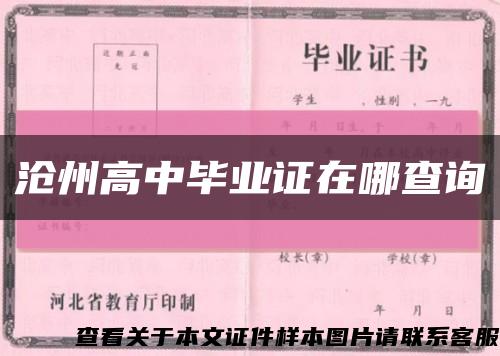 沧州高中毕业证在哪查询缩略图