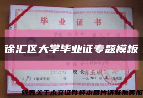 徐汇区大学毕业证专题模板缩略图