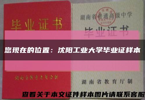 您现在的位置：沈阳工业大学毕业证样本缩略图