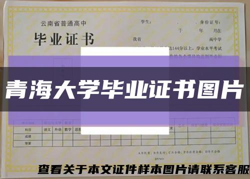 青海大学毕业证书图片缩略图