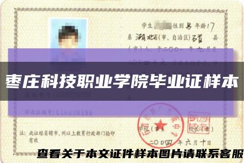 枣庄科技职业学院毕业证样本缩略图