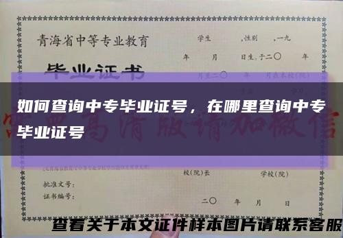 如何查询中专毕业证号，在哪里查询中专毕业证号缩略图