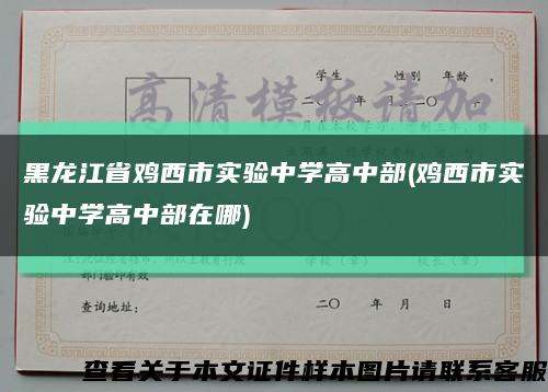 黑龙江省鸡西市实验中学高中部(鸡西市实验中学高中部在哪)缩略图
