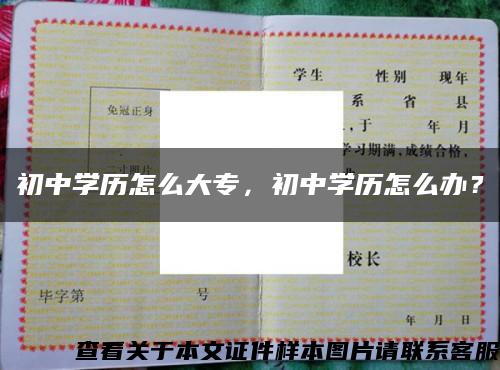 初中学历怎么大专，初中学历怎么办？缩略图