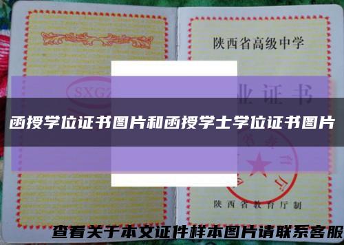函授学位证书图片和函授学士学位证书图片缩略图