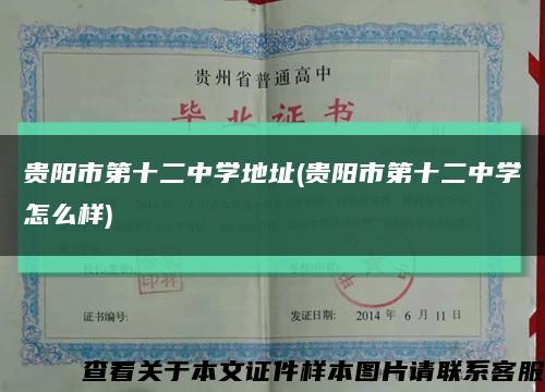 贵阳市第十二中学地址(贵阳市第十二中学怎么样)缩略图