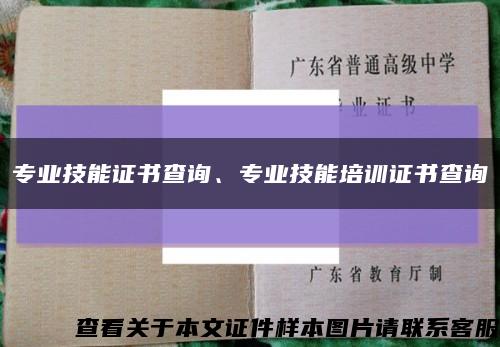 专业技能证书查询、专业技能培训证书查询缩略图