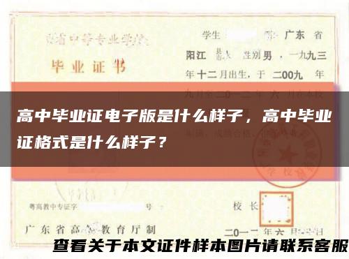 高中毕业证电子版是什么样子，高中毕业证格式是什么样子？缩略图