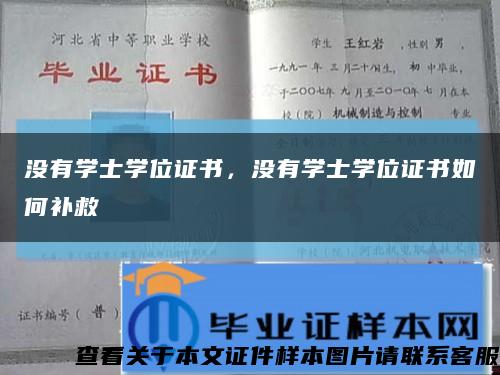 没有学士学位证书，没有学士学位证书如何补救缩略图