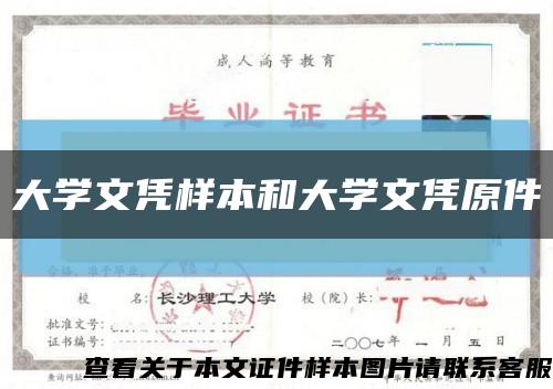 大学文凭样本和大学文凭原件缩略图