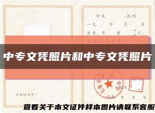 中专文凭照片和中专文凭照片缩略图