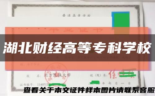湖北财经高等专科学校缩略图