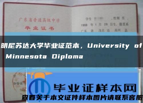 明尼苏达大学毕业证范本，University of Minnesota Diploma缩略图