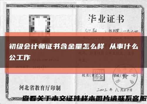 初级会计师证书含金量怎么样 从事什么公工作缩略图