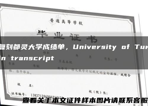 复刻都灵大学成绩单，University of Turin transcript缩略图
