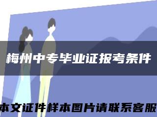 梅州中专毕业证报考条件缩略图