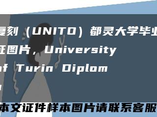 复刻（UNITO）都灵大学毕业证图片，University of Turin Diploma缩略图