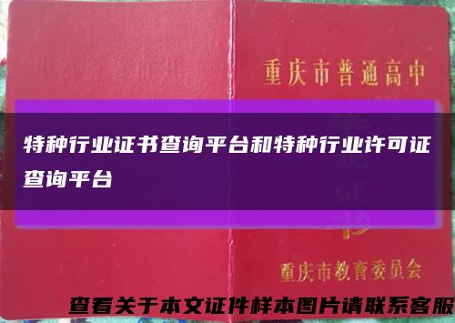 特种行业证书查询平台和特种行业许可证查询平台缩略图