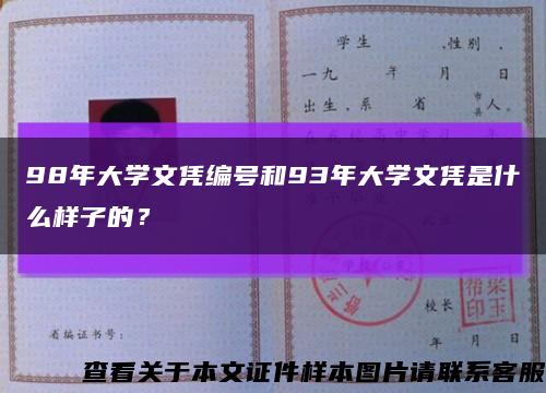 98年大学文凭编号和93年大学文凭是什么样子的？缩略图