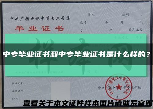 中专毕业证书和中专毕业证书是什么样的？缩略图