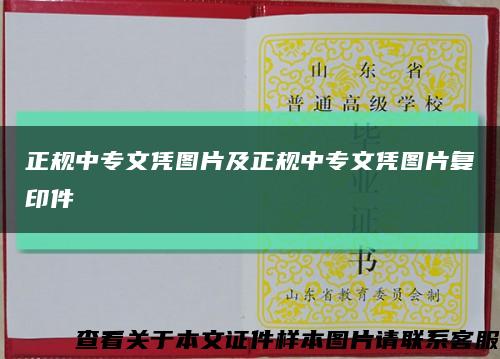 正规中专文凭图片及正规中专文凭图片复印件缩略图