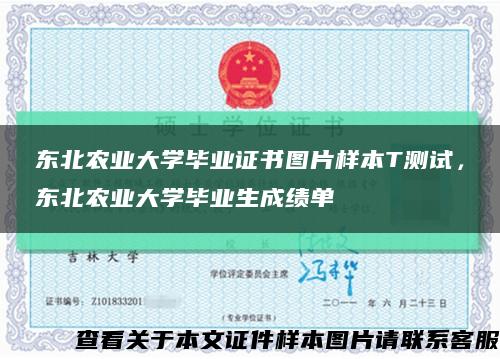 东北农业大学毕业证书图片样本T测试，东北农业大学毕业生成绩单缩略图