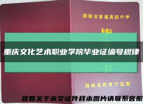 重庆文化艺术职业学院毕业证编号规律缩略图