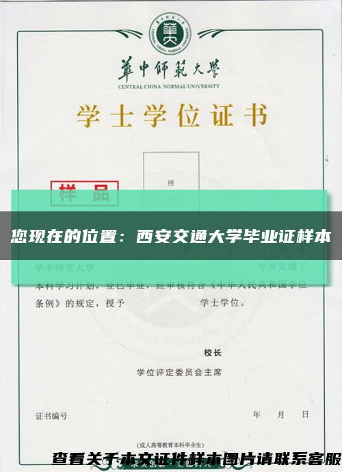 您现在的位置：西安交通大学毕业证样本缩略图
