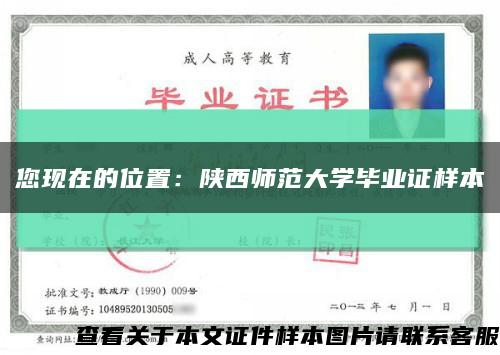 您现在的位置：陕西师范大学毕业证样本缩略图