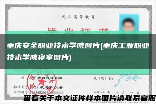 重庆安全职业技术学院图片(重庆工业职业技术学院寝室图片)缩略图
