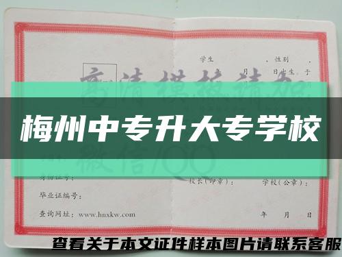 梅州中专升大专学校缩略图