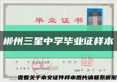 郴州三星中学毕业证样本缩略图
