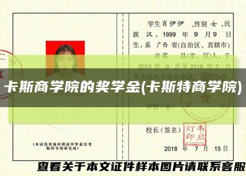 卡斯商学院的奖学金(卡斯特商学院)缩略图