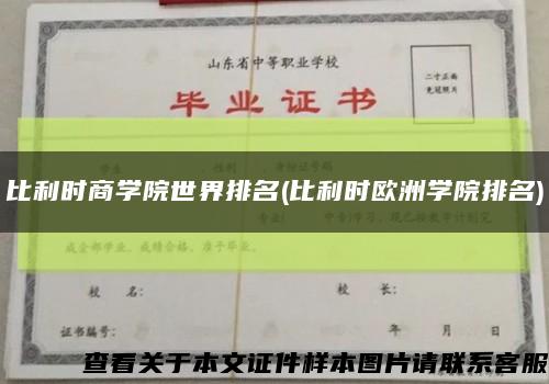 比利时商学院世界排名(比利时欧洲学院排名)缩略图