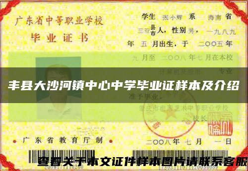 丰县大沙河镇中心中学毕业证样本及介绍缩略图