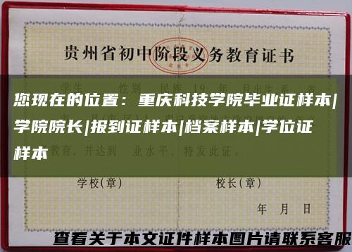 您现在的位置：重庆科技学院毕业证样本|学院院长|报到证样本|档案样本|学位证样本缩略图