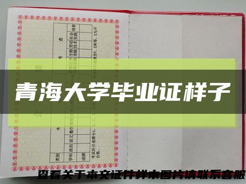 青海大学毕业证样子缩略图