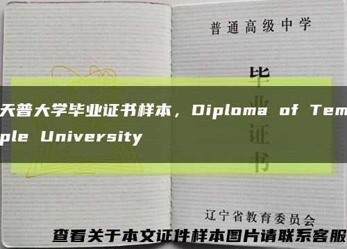 天普大学毕业证书样本，Diploma of Temple University缩略图