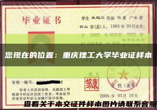 您现在的位置：重庆理工大学毕业证样本缩略图
