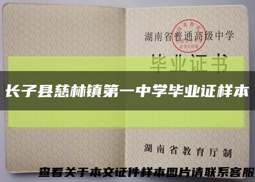 长子县慈林镇第一中学毕业证样本缩略图
